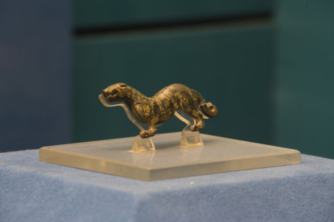 Unearthed Cultural Relics,Xi'an