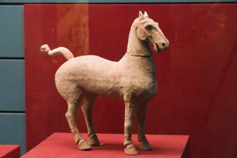 Unearthed Cultural Relics,Xi'an