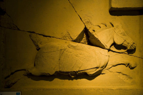 vehicleving Eight Fiery Horses excavated from Emperor Taizong's Tomb,Xi'an