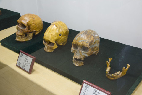 unearthed cultural relics from Ruins of Zhoukoudian PalaeoHuman