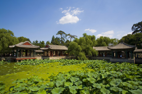 The Summer Palace