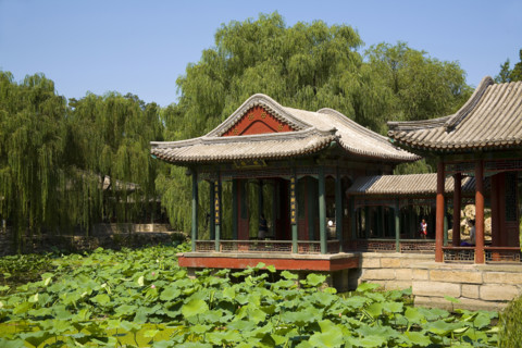 The Summer Palace