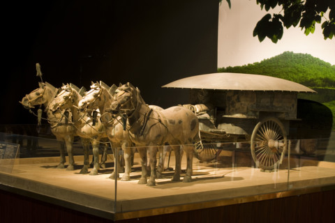 the Emperor Qin's Terra-cotta Warriors,Terra-cotta,Terracotta,Terra cotta,Xi'an