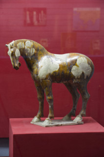 Unearthed Cultural Relics,Xi'an