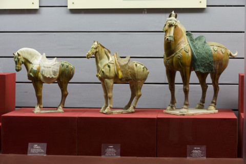Unearthed Cultural Relics,Xi'an