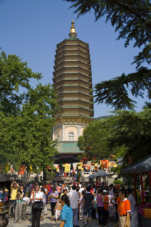 Pagoda in the Badachu Park,Beijing