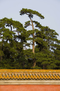 Architecture in The Western Qing Tombs,Shanxi Province