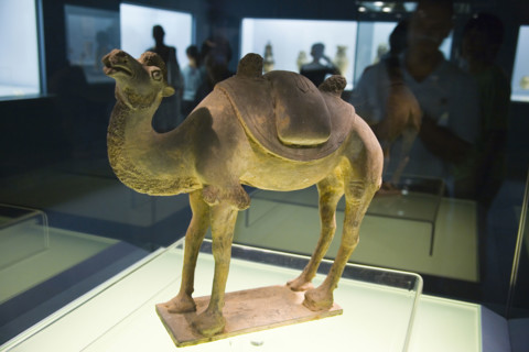 Cultural Relics and Treasure in Shanghai Museum