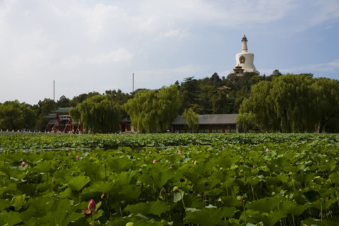 View of North Sea Park,Beijing