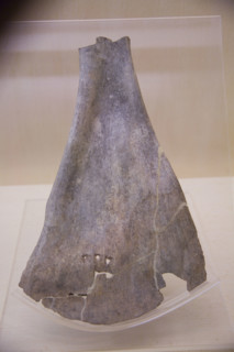Cultural Relics and Treasure in Shanghai Museum