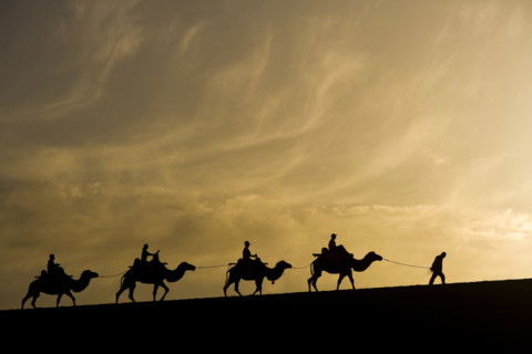 A Group of People Riding Camels in the Desert