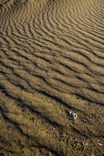 The Yadan landform in Lop Nur,Xinjiang