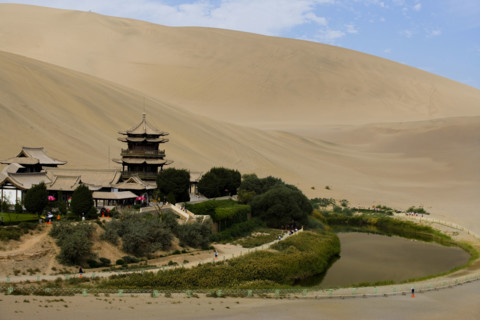Infrequent Oasis in the Desert