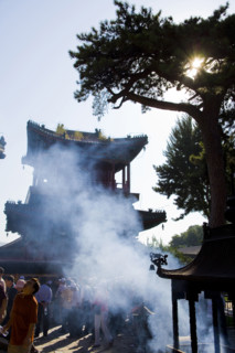 The Temple of Puning,Chengde