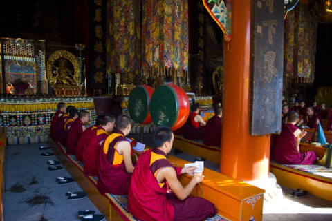 The Temple of Puning,Chengde