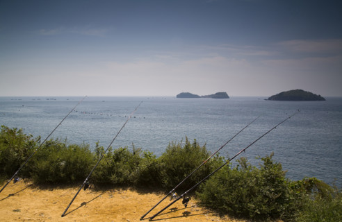The Scene of the Beach in Dalian