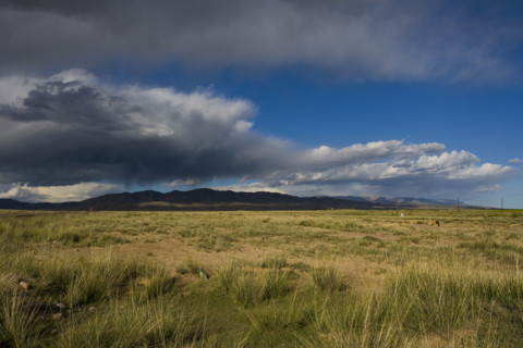 A penurious land in Qinghai