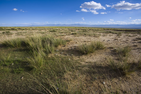 A penurious land in Qinghai