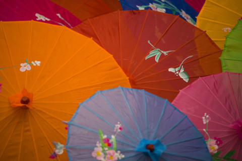 Chinese Traditional Umbrella