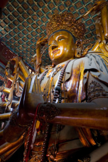 The Temple of Puning,Chengde
