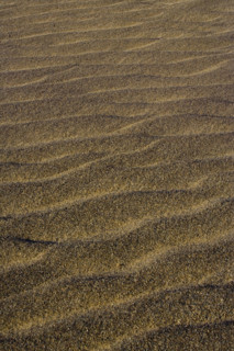 The Yadan landform in Lop Nur,Xinjiang
