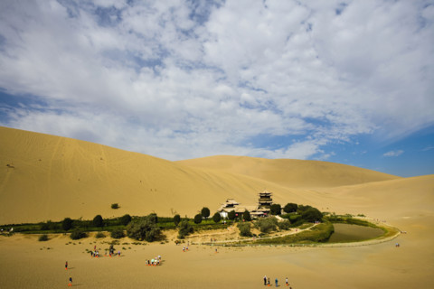 Infrequent Oasis in the Desert