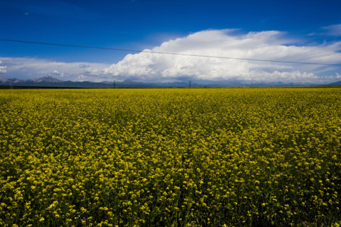 The Landscape along the road from Qinghai to Tibet