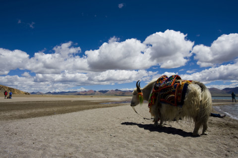 Nam Co Lake,Tibet
