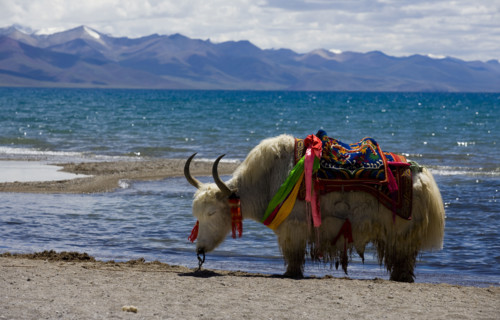 Nam Co Lake,Tibet