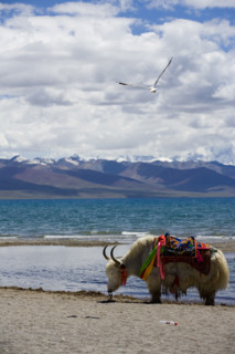 Nam Co Lake,Tibet