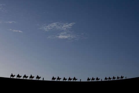 A Group of People Riding Camels in the Desert