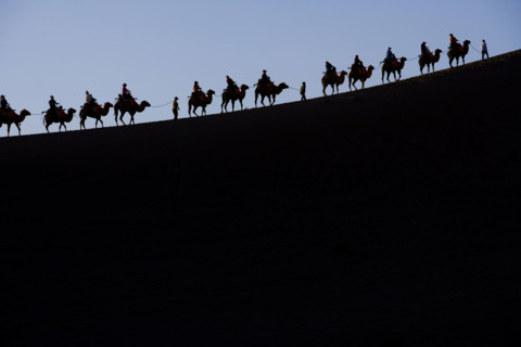 A Group of People Riding Camels in the Desert