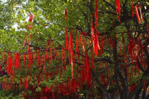 Daming Lake Park,Daming,Lake,Daming Lake,Shandong