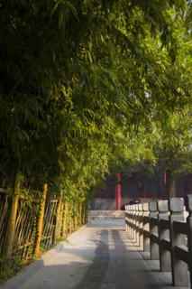 Daming Lake Park,Daming,Lake,Daming Lake,Shandong