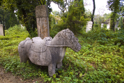 View of Confucius Forest in Qufu,Shandong