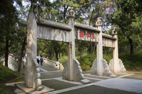 View of Confucius Forest in Qufu,Shandong