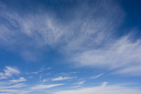 View of Bashang high plain,Neimenggu