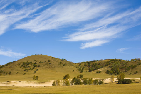 View of Bashang high plain,Neimenggu