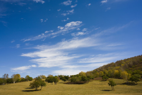 View of Bashang high plain,Neimenggu