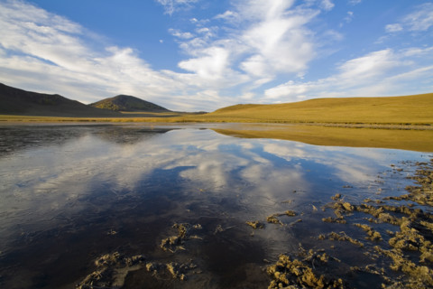 View of Bashang high plain,Neimenggu