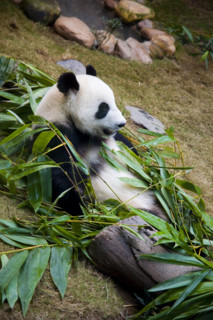 Hong kong marine park