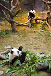 Hong kong marine park