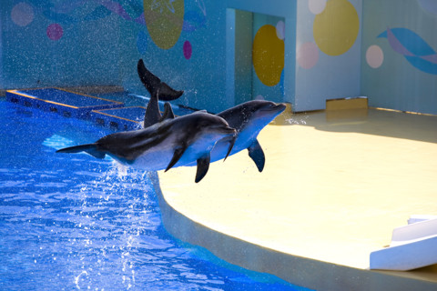 Hong kong marine park