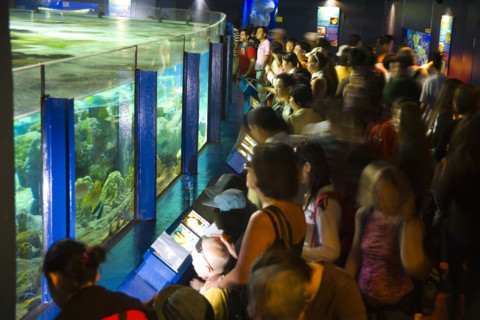 Hong kong marine park