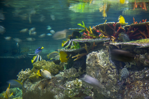 Hong kong marine park