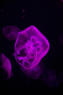 Hong kong marine park