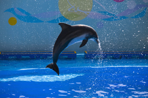 Hong kong marine park
