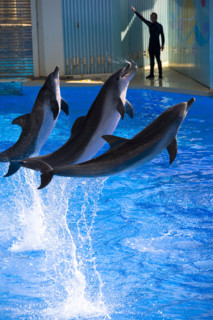Hong kong marine park