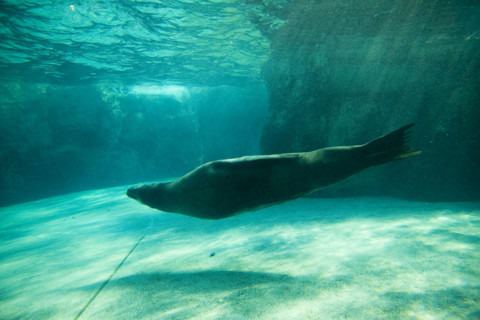 Hong kong marine park