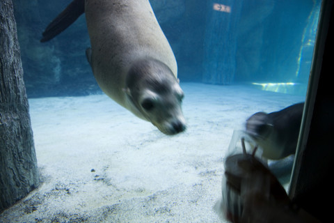 Hong kong marine park